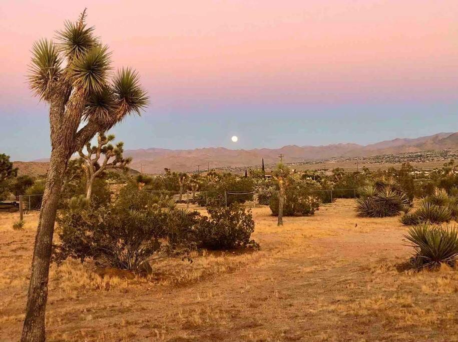 Desert Dreamer Yucca Valley Εξωτερικό φωτογραφία